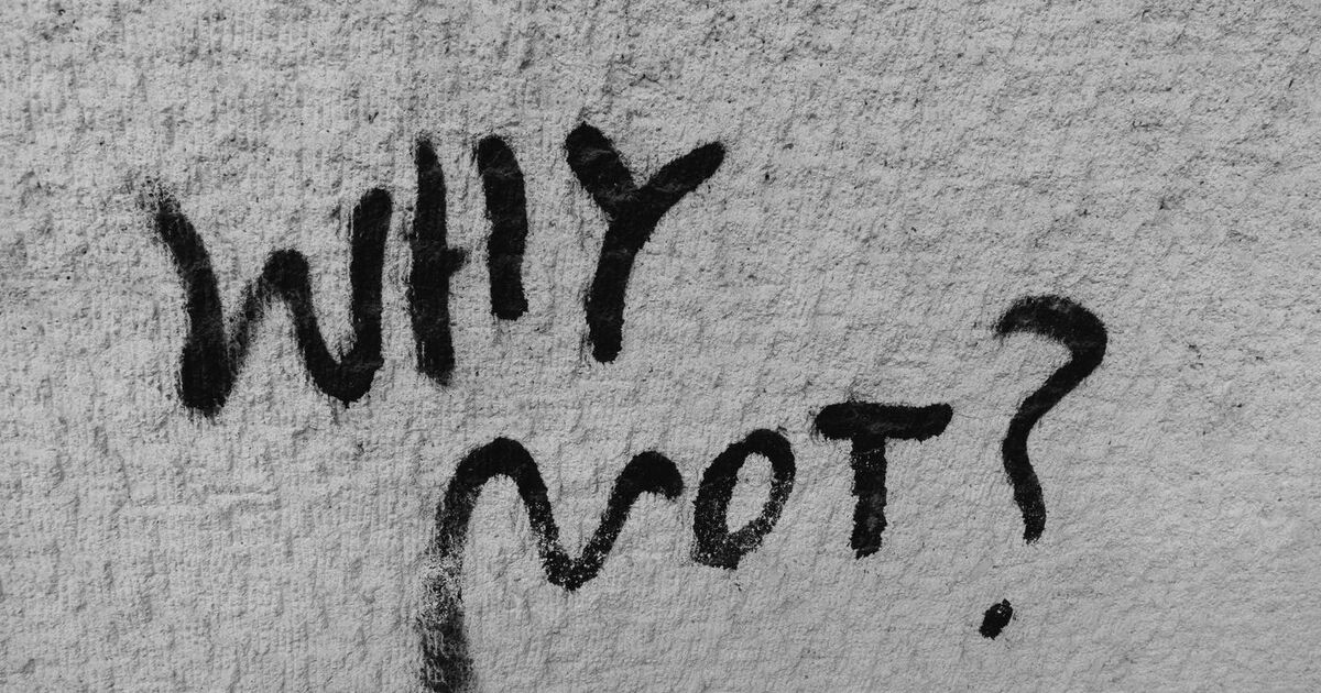 Black graffiti reading 'Why Not?' on a rough wall texture, inspiring curiosity.